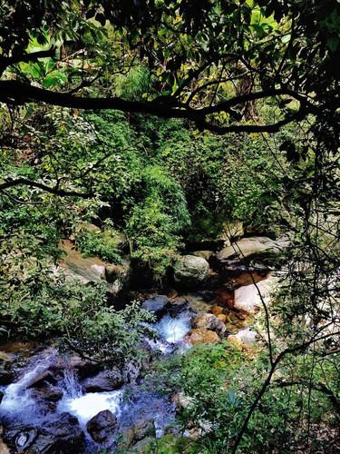 【新春走基层】何伟调研春节期间节庆活动筹备工作